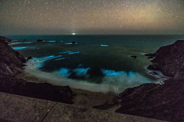 Fitoplâncton bioluminescente nas ondas ao longo da costa da região de Big Sur, no centro da Califórnia, em 6 de fevereiro de 2018 - Sputnik Brasil