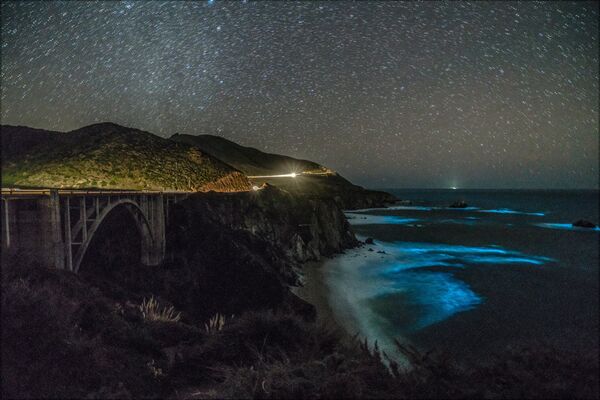Fitoplâncton bioluminescente brilha no litoral da região de Big Sur, localizada no centro da Califórnia, em 6 de fevereiro de 2018 - Sputnik Brasil