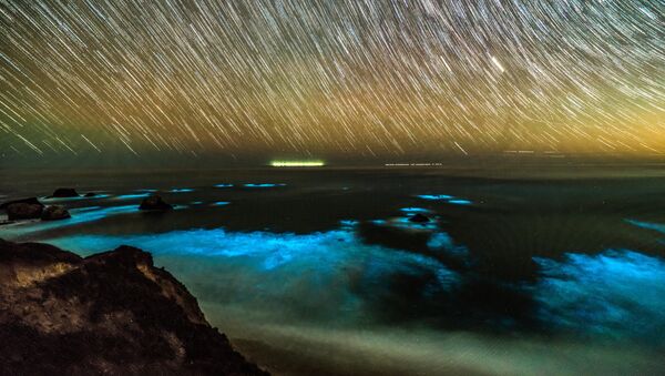 Fitoplâncton bioluminescente nas ondas ao longo da costa da região de Big Sur, no centro da Califórnia, em 6 de fevereiro de 2018 - Sputnik Brasil