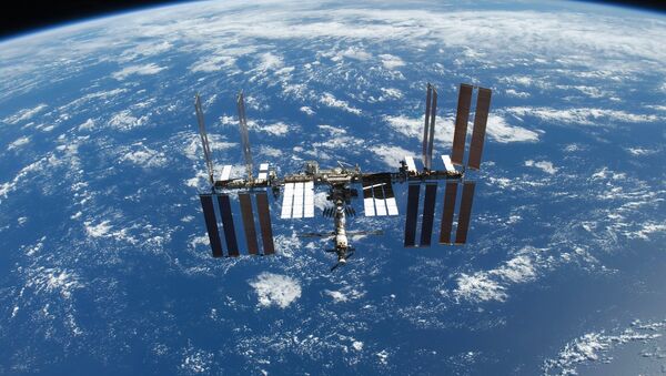 International Space Station (ISS) - Sputnik Brasil