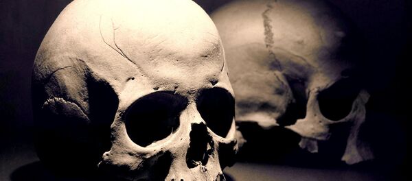 Crânios (imagem referencial) - Sputnik Brasil