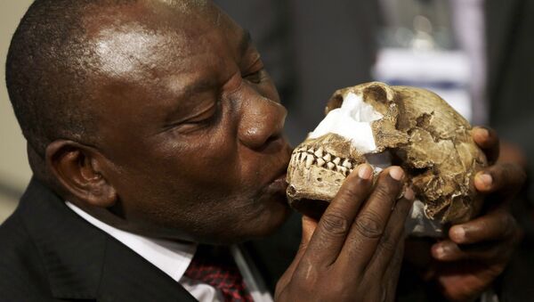 South Africa Deputy President Cyril Ramaphosa, kisses a reconstruction of Homo naledi's face during a news conference at Maropeng Cradle of Humankind World Heritage Site in Magaliesburg, South Africa, Thursday, Sept. 10, 2015 - Sputnik Brasil