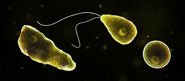 Naegleria fowleri - Sputnik Brasil