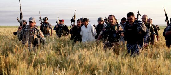 As forças de segurança do Iraque detem supostos militantes do Estado Islâmico durante uma operação. - Sputnik Brasil