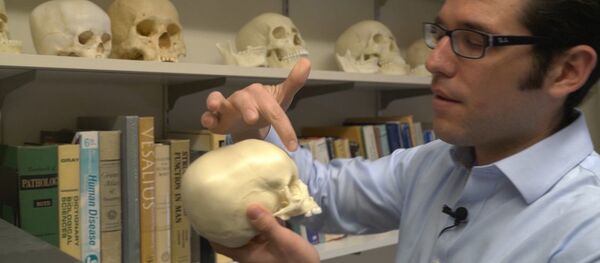Маттиас Веласко держит копию черепа ребенка - Sputnik Brasil