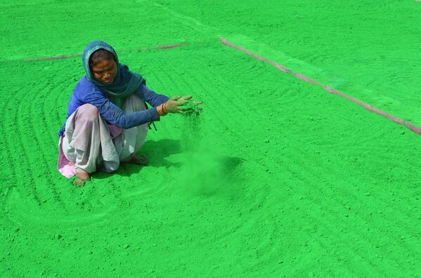 Mulher indiana prepara pó colorido nas vésperas do festival tradicional de Holi, na Índia - Sputnik Brasil