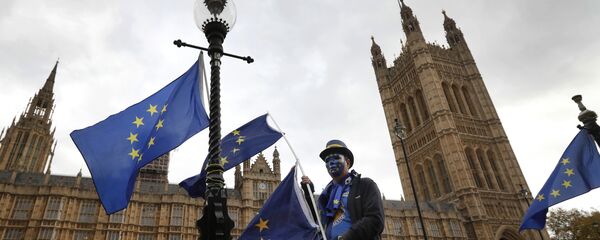 Manifestante pró-UE protesta contra o Brexit em frente ao Parlamento em Londres (novembro de 2017) - Sputnik Brasil