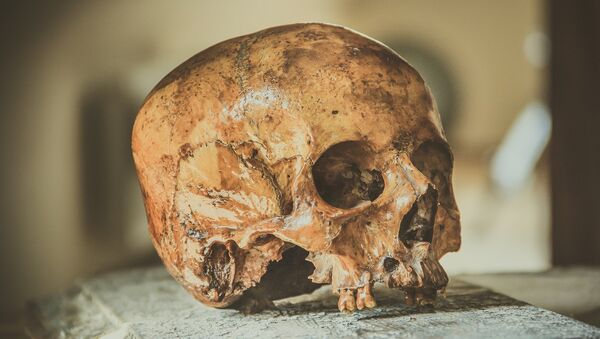 Crânio humano (imagem ilustrativa) - Sputnik Brasil