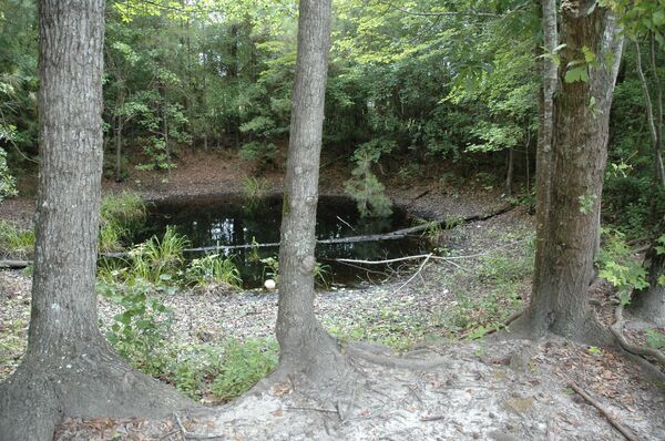 Cratera no lugar da queda da bomba Mark 6 Cratera no lugar da queda da bomba Mark 6 - Sputnik Brasil