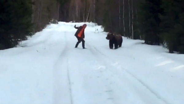 Sueco reage a ataque de urso selvagem e consegue afugentar o animal - Sputnik Brasil