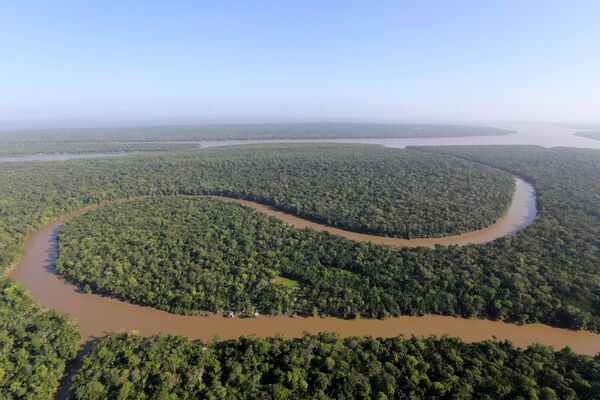 Peixe-elétrico mais poderoso do mundo é encontrado na Amazônia Peixe-elétrico mais poderoso do mundo é encontrado na Amazônia - Sputnik Brasil