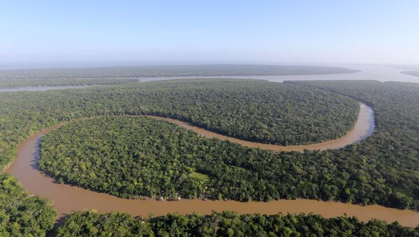 Brasil, Colõmbia e Peru respondem por 83% da área da Bacia Amazônica - Sputnik Brasil