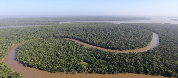 Brasil, Colõmbia e Peru respondem por 83% da área da Bacia Amazônica - Sputnik Brasil