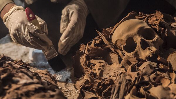 Arqueólogo desenterrando múmia em túmulo dedicado ao antigo deus Amon em Luxor, Egito - Sputnik Brasil