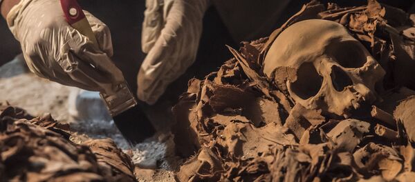 Arqueólogo desenterrando múmia em túmulo dedicado ao antigo deus Amon em Luxor, Egito - Sputnik Brasil