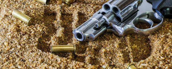 Arma de fogo e cápsulas - Sputnik Brasil
