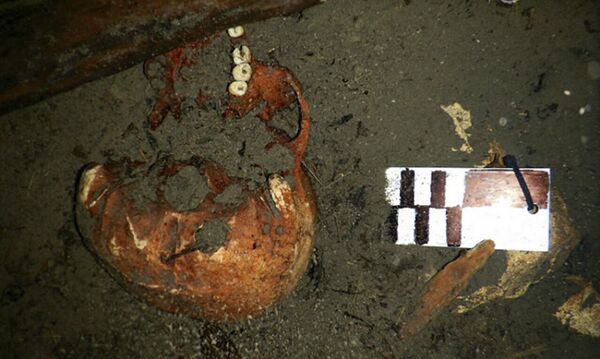 Fragmentos de ossos humanos encontrados no interior do cenote Xlacah, na zona arqueológica de Dzibilchaltún, no Iucatã, México Fragmentos de ossos humanos encontrados no interior do cenote Xlacah, na zona arqueológica de Dzibilchaltún, no Iucatã, México - Sputnik Brasil