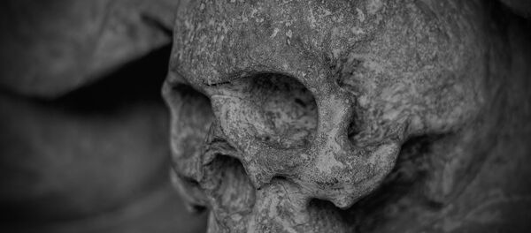 Crânio - Sputnik Brasil