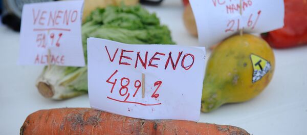 Ato da Campanha Permanente contra os Agrotóxicos e pela Vida no Rio de Janeiro. - Sputnik Brasil