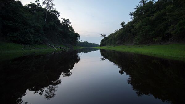 Vista do rio Negro em Manaus, no estado da Amazônia (Brasil), 8 de dezembro de 2015 - Sputnik Brasil