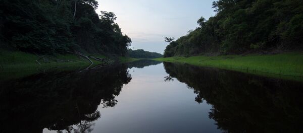Vista do rio Negro em Manaus, no estado da Amazônia (Brasil), 8 de dezembro de 2015 - Sputnik Brasil