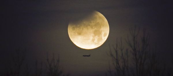 Avião com Lua no plano de fundo durante fenômeno raríssimo que combina Superlua, Lua azul e eclipse lunar Avião com Lua no plano de fundo durante fenômeno raríssimo que combina Superlua, Lua azul e eclipse lunar - Sputnik Brasil