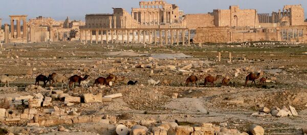 Palmira - Sputnik Brasil