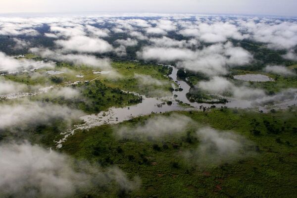 Parque nacional de Garamba no Congo - Sputnik Brasil