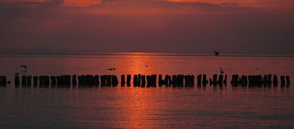 Costa do mar Báltico na cidade russa de Svetlogorsk - Sputnik Brasil