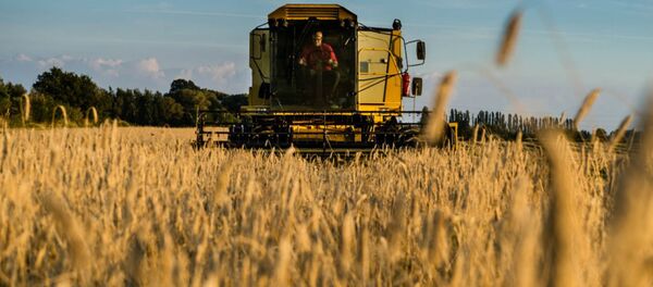 The drought in the American West is causing devastating consequences on US agriculture. - Sputnik Brasil