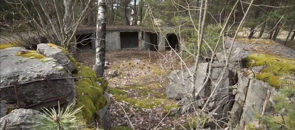 Bunker nazista na floresta em Neringa, na Lituânia - Sputnik Brasil