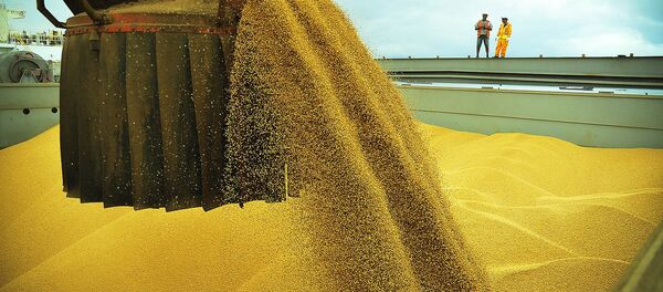 Só em março, exportação de soja correspondeu a 44% das vendas do agronegócio Só em março, exportação de soja correspondeu a 44% das vendas do agronegócio - Sputnik Brasil
