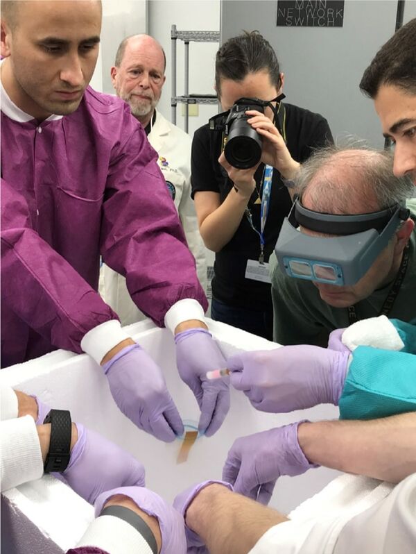 Amostras de esperma para o experimento Micro-11 em centro da NASA, na Flórida, onde os pesquisadores as prepararam para o lançamento na Estação Espacial Internacional. - Sputnik Brasil