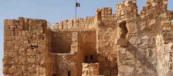 O Estado Islâmico fincou sua bandeira em Palmira. - Sputnik Brasil