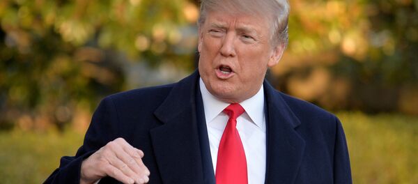 Presidente dos EUA, Donald Trump, falando com jornalistas Presidente dos EUA, Donald Trump, falando com jornalistas - Sputnik Brasil