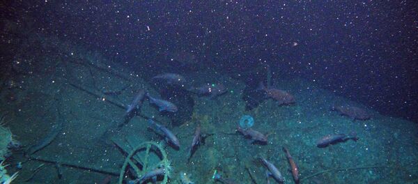Submarino australiano HMAS AE1 Submarino australiano HMAS AE1 - Sputnik Brasil