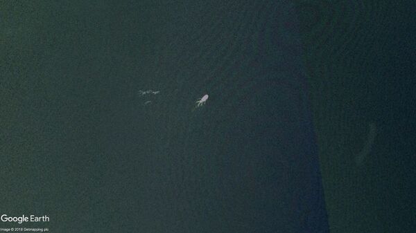 Suposto monstro do lago Ness na Escócia - Sputnik Brasil