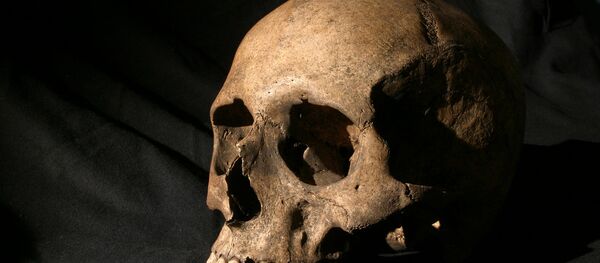 Crânio humano (imagem ilustrativa) - Sputnik Brasil