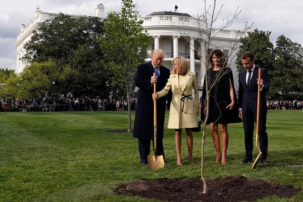 Plantaram uma árvore no jardim da Casa Branca. - Sputnik Brasil