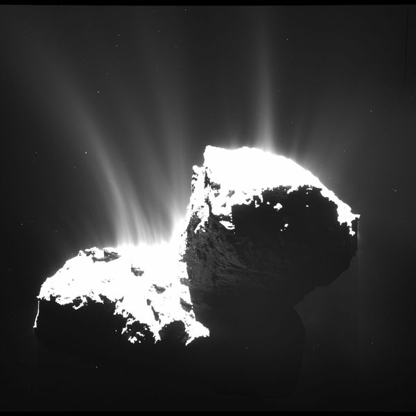 Cometas tiveram grande impacto no início da vida na Terra, revela estudo Cometas tiveram grande impacto no início da vida na Terra, revela estudo - Sputnik Brasil