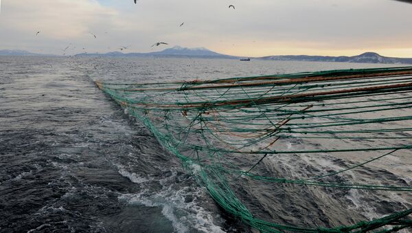 Rede de pesca na ilha russa de Kunashir (foto de arquivo) - Sputnik Brasil