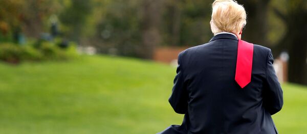 Presidente dos EUA, Donald Trump, em um relvado em frente da Casa Branca, em Washington - Sputnik Brasil