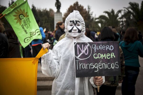 Protestos contra os alimentos transgênicos durante a manifestação contra a Monsanto no Chile. Um manifestante com um cartaz que leia Eu não quero comer transgênicos, durante as manifestações contra a Monsanto Co - uma das maiores empresas de produção dos alimentos trasgênicos, na cidade de Santiago, 23 de maio de 2015. - Sputnik Brasil