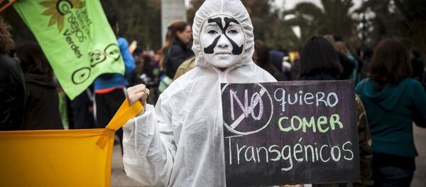 Protestos contra os alimentos transgênicos durante a manifestação contra a Monsanto no Chile. Um manifestante com um cartaz que leia Eu não quero comer transgênicos, durante as manifestações contra a Monsanto Co - uma das maiores empresas de produção dos alimentos trasgênicos, na cidade de Santiago, 23 de maio de 2015. - Sputnik Brasil