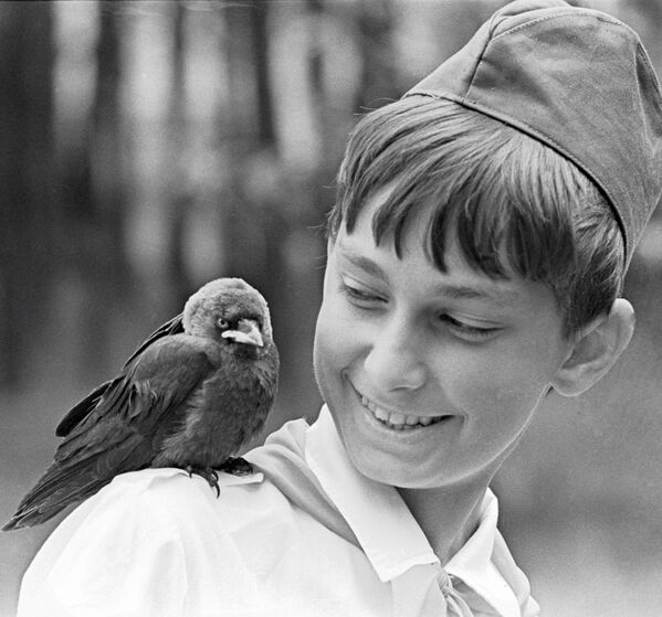 Pequeno corvo é visto sentado no ombro de um pioneiro na ex-república soviética da Bielorrússia, em 1981 - Sputnik Brasil