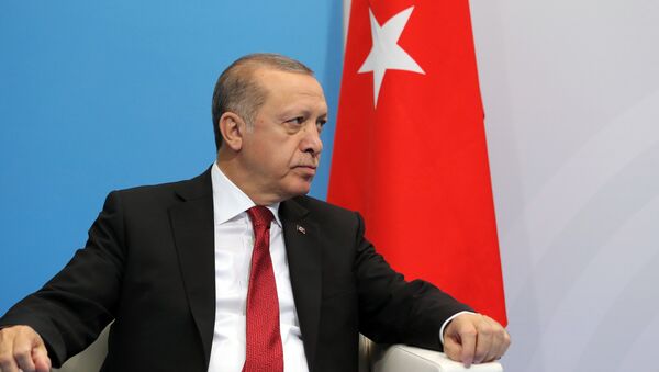 President of Turkey Recep Tayyip Erdogan during a meeting with Russian President Vladimir Putin on the sidelines of the G20 summit in Hamburg - Sputnik Brasil