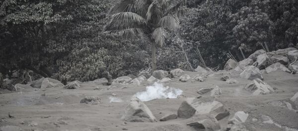 Comunidade San Miguel Los Lotes, coberta por cinzas após a erupção vulcânica na Guatemala, em 4 de junho de 2018 - Sputnik Brasil