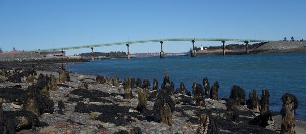 Ponte internacional entre a ilha de Lubec, no Maine (EUA), e Campobello, New Brunswick (Canadá) - Sputnik Brasil