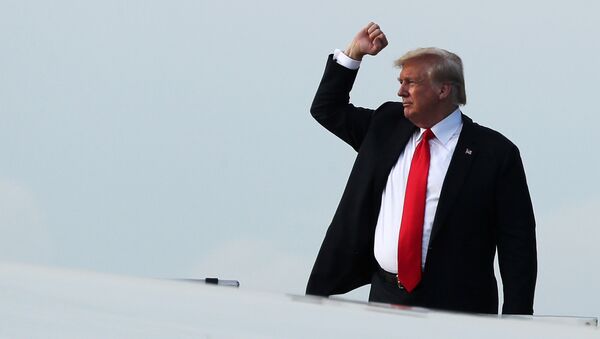 Donald Trump embarcando em avião após a cúpula com Kim Jong-un em Singapura - Sputnik Brasil