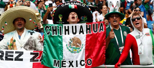Torcida mexicana na partida contra a Coreia do Sul na cidade de Rostov - Sputnik Brasil